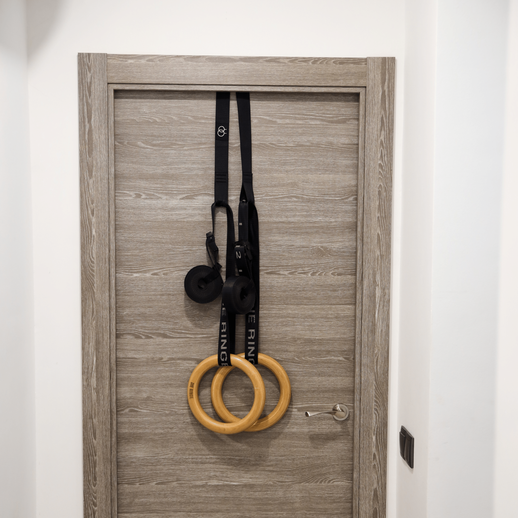 Door anchor for gymnastics rings